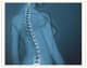 Slider image (9) ADIVA | Stem Cell Therapy Center